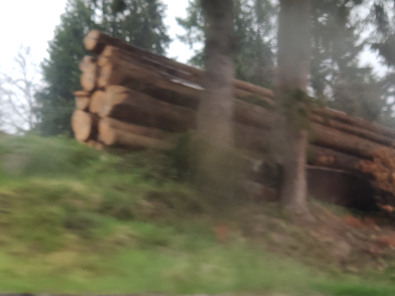a big pile of very long logs